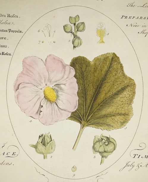 Botany - Sheldrake, Timothy - Botanicum Medicinale; an Herbal of Medicinal Plants on the College of Physicians List, folio, half calf, lacking title and folding table, with 95 [of 118 originally], leaves of hand-coloured